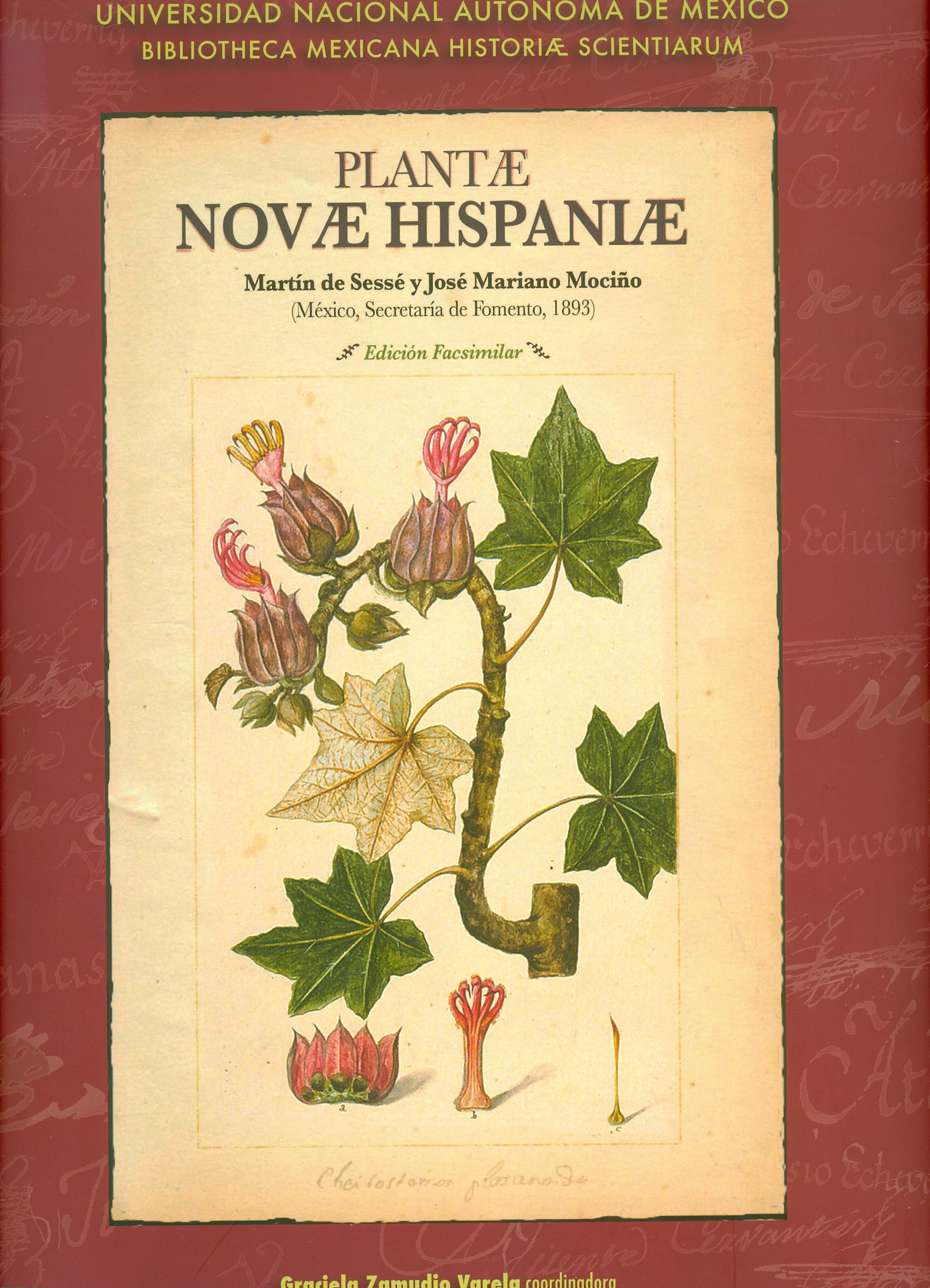 Plantae Novae Hispaniae